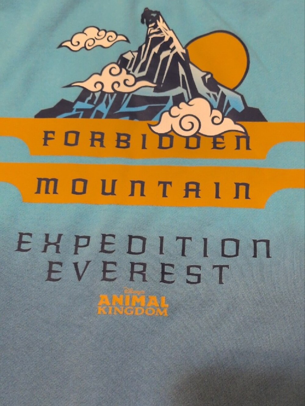 Disney Blue and Gold Forbidden Mountain Expedition Sweatshirt - Picture 5 of 12